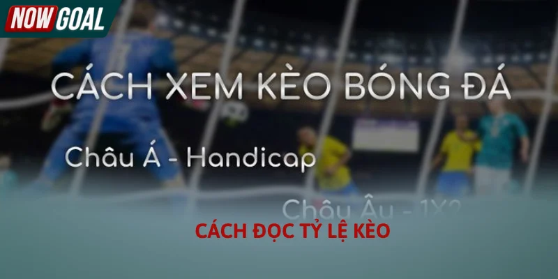Hướng dẫn chi tiết cách đọc tỷ lệ kèo bóng đá trực tuyến tại Nowgoal