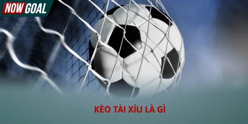 Yếu tố quan trọng quyết định thắng thua trong kèo tài xỉu là gì