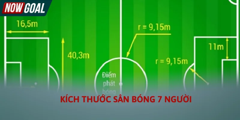 Quan sát kích thước sân bóng 7 người do VFF quy định Quan sát kích thước sân bóng 7 người do VFF quy định